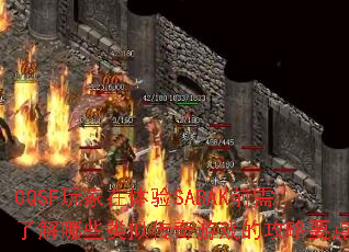 CQSFSABAKǰ˽ЩƴϷĹҪ㣿