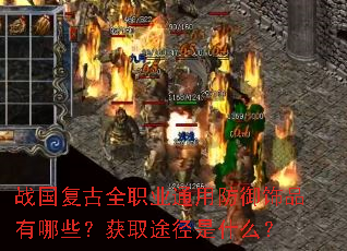 սȫְҵͨ÷ƷЩȡ;ʲô