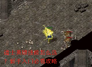 道士英雄技能怎么选?新手入门必看攻略 道士英雄技能怎么选?新手入门必看攻略