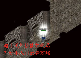 道士英雄技能怎么选?新手入门必看攻略 道士英雄技能怎么选?新手入门必看攻略