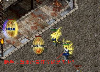 新手去盟重的最佳等级是多少? 新手去盟重的最佳等级是多少?