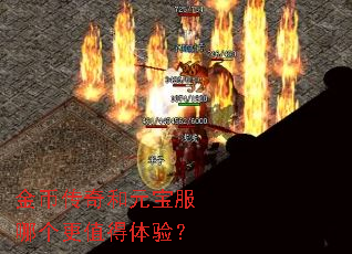 金币传奇和元宝服哪个更值得体验? 金币传奇和元宝服哪个更值得体验?