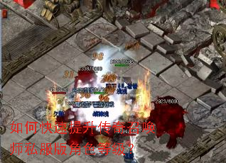 如何快速提升传奇召唤师私服版角色等级? 如何快速提升传奇召唤师私服版角色等级?