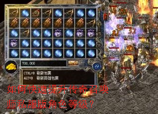 如何快速提升传奇召唤师私服版角色等级? 如何快速提升传奇召唤师私服版角色等级?