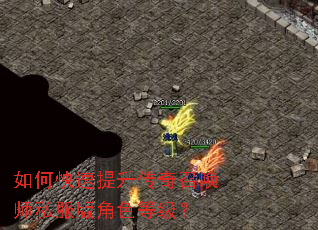 如何快速提升传奇召唤师私服版角色等级? 如何快速提升传奇召唤师私服版角色等级?