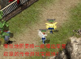 ���ŵ�ͼ��Ψһ�ܱ�������ѫ�µĴ�����Ϸ���صأ�