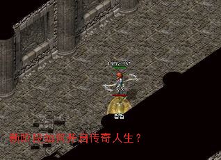 �½׶���ο�������������