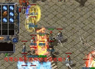 ����˽��������ѡ���ԣ�