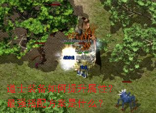 ��ʿװ������������ԣ���ǿ���䷽����ʲô��