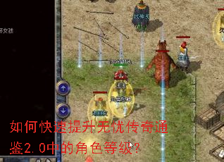如何快速提升无忧传奇通鉴2.0中的角色等级? 如何快速提升无忧传奇通鉴2.0中的角色等级?