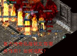 ���Ŵ���˽����������Щ���ã���δ��䣿