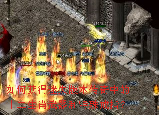 ��λ����ʧ�汾�����е�ʮ����Ф�����������ָ��