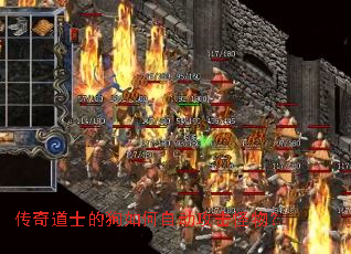 传奇道士的狗如何自动攻击怪物? 传奇道士的狗如何自动攻击怪物?