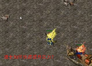 ��ʿ��ο�������ʵ����