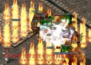 �������������Ϸ�е��и����ԣ�