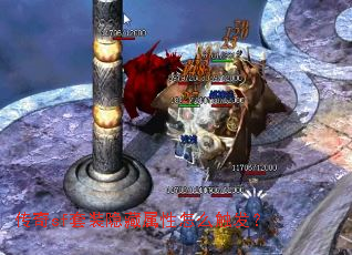 ����sf��װ����������ô������