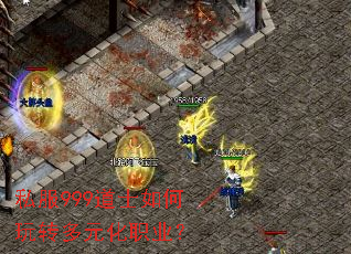 ˽��999��ʿ�����ת��Ԫ��ְҵ��