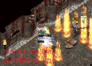 �����ʿ�ٻ����＼���������ս������