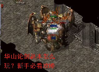 ��ɽ�۽�������ô�棿���ֱؿ�����