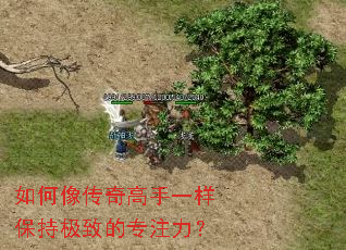 ����������һ�����ּ��µ�רע����