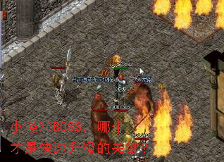 С�ֺ�BOSS���ĸ����ǿ��������Ĺؼ���