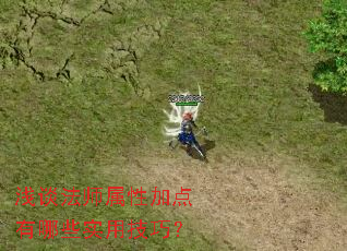 浅谈法师属性加点有哪些实用技巧? 浅谈法师属性加点有哪些实用技巧?