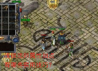 浅谈法师属性加点有哪些实用技巧? 浅谈法师属性加点有哪些实用技巧?