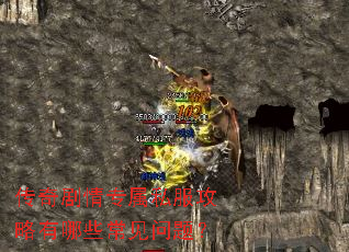 �������ר��˽����������Щ�������⣿