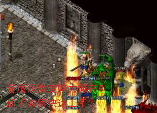 ��ħ��΢���������ڣ�������ο������֣�