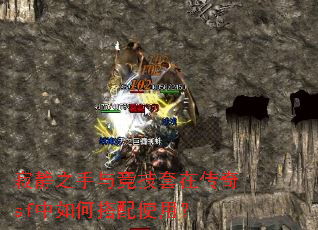 �ž�֮���뾺�����ڴ���sf����δ���ʹ�ã�