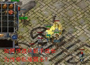 ��ο��ٴ����ֳɳ�Ϊ����˽��������