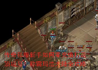 ����˽������������ֵ���춥���ţ��ư��귨��½ȫ����