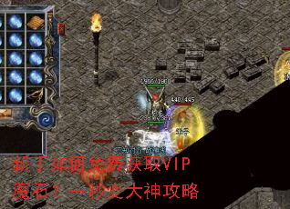 ���������ѻ�ȡVIPħʯ��һ��������