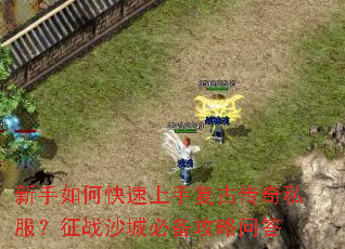 新手如何快速上手复古传奇私服?征战沙城必备攻略问答 新手如何快速上手复古传奇私服?征战沙城必备攻略问答
