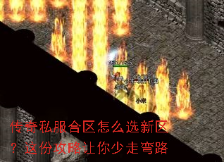 ����˽��������ôѡ��������ݹ�������������·