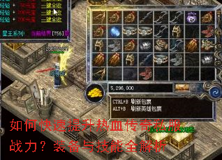 ��ο���������Ѫ����˽��ս����װ���뼼��ȫ����