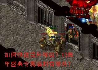 ��ο��������ȼ���13����ʢ��ר����������Щ��