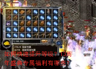 ��ο��������ȼ���13����ʢ��ר����������Щ��