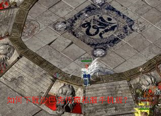 �������ɳ�Ϳ˴���˽���ֻ��棿