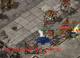 圣乾坤蓝月神甲I属性如何选择? 圣乾坤蓝月神甲I属性如何选择?