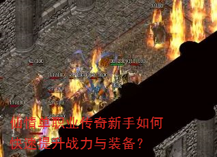 鵥ְҵοսװ