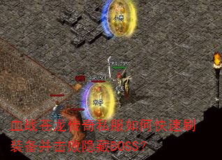 Ѫս˽οˢװBOSS