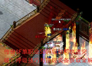 SFְҵ5000οͻƣ弶붥װȡȫ