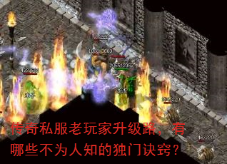 ˽·ЩΪ֪Ķžϣ