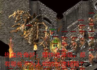 ѪSFٳ弶ЩΪ֪ļؼ