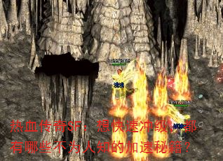 ѪSFٳ弶ЩΪ֪ļؼ