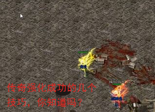 ǿɹļɣ֪