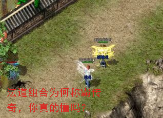 ΪγưԴ棬Ķ