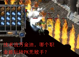 ͣĸְҵתPK޵֣