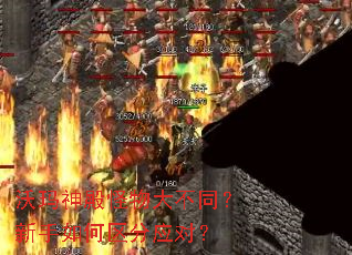 ͬӦԣ